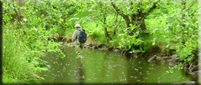 Fishing in the rain
