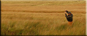 high moor