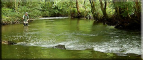 Westcountry river