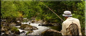 Small stream flyfishing