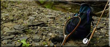 Well wooded stream